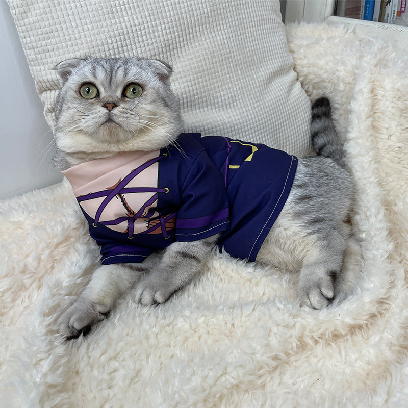 猫咪领带领照片装饰用品T恤